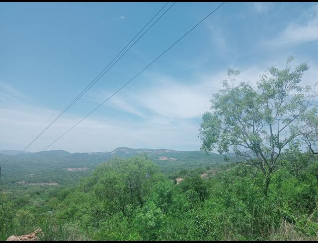 4.70HA SMALLHOLDING SOLD IN KARINO